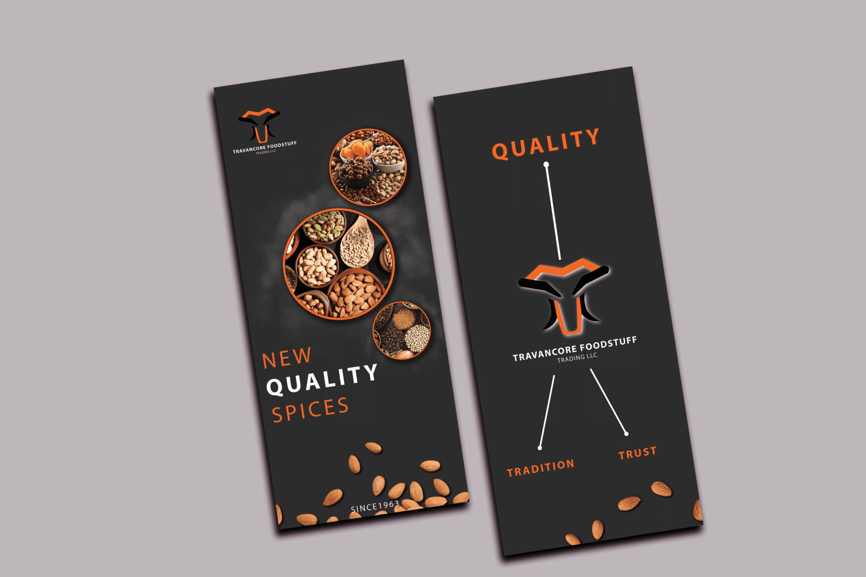 Travancore 3 Fold Brochure Design